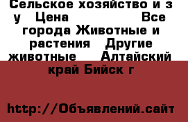 Сельское хозяйство и з/у › Цена ­ 2 500 000 - Все города Животные и растения » Другие животные   . Алтайский край,Бийск г.